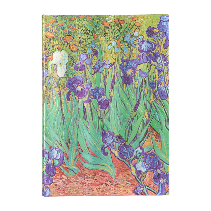 Book VAN GOGHS IRISES SKETCHBK PAPERBLANKS