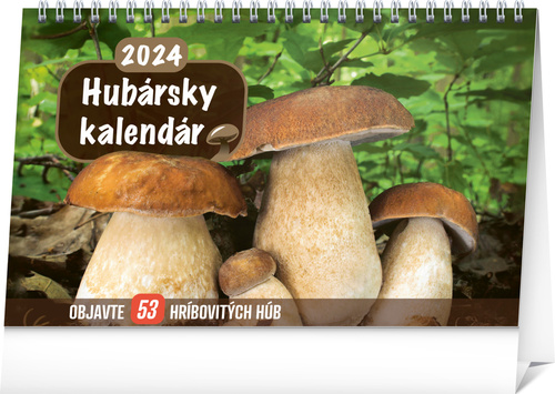 Kalendář/Diář Húbarsky kalendár 2024 - stolový kalendár 