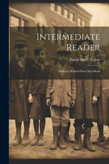 Knjiga Intermediate Reader: Primary School First Class Book Tower David Bates