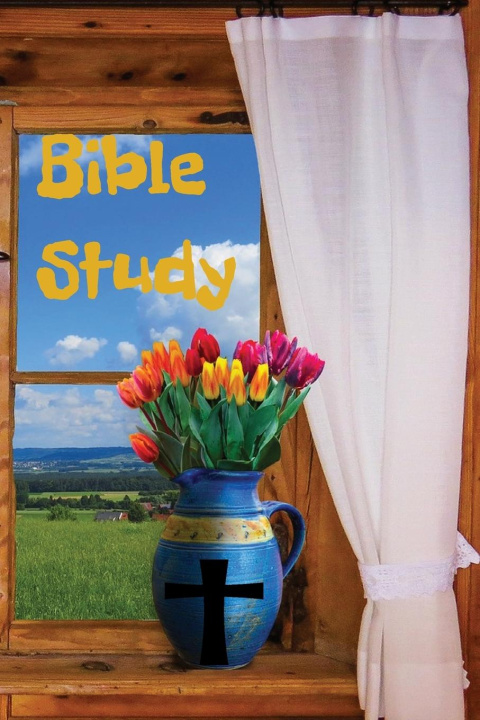 Knjiga Bible Study Notes Denise N Lawless