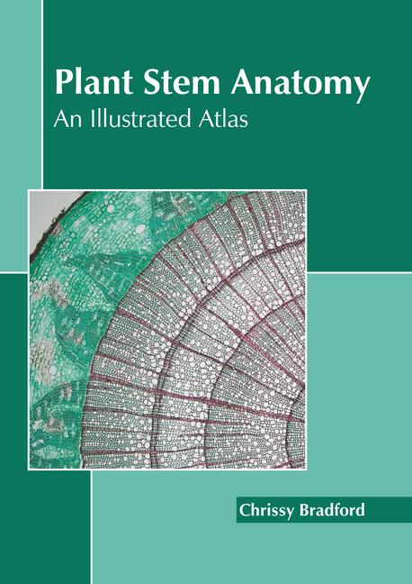 Kniha Plant Stem Anatomy: An Illustrated Atlas 
