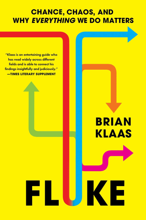 Книга Fluke: Chance, Chaos, and Why Everything We Do Matters 