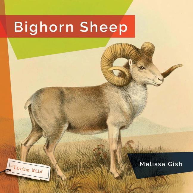 Knjiga Bighorn Sheep Gish