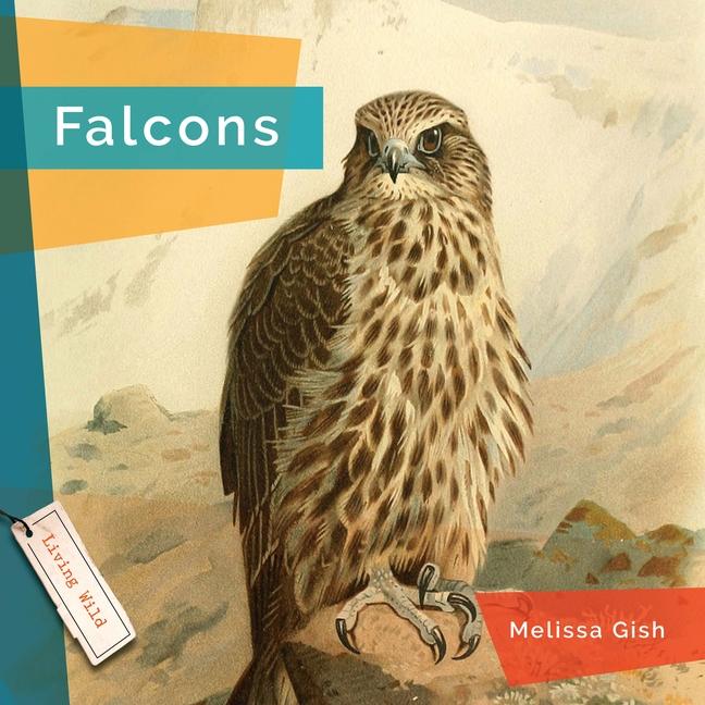 Knjiga Falcons Gish