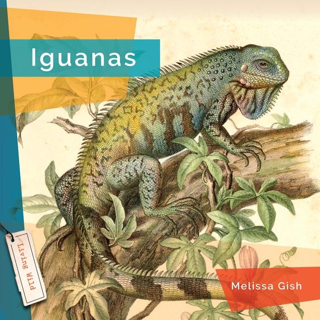 Knjiga Iguanas Gish