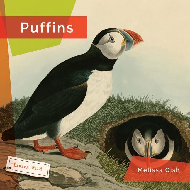 Knjiga Puffins Gish
