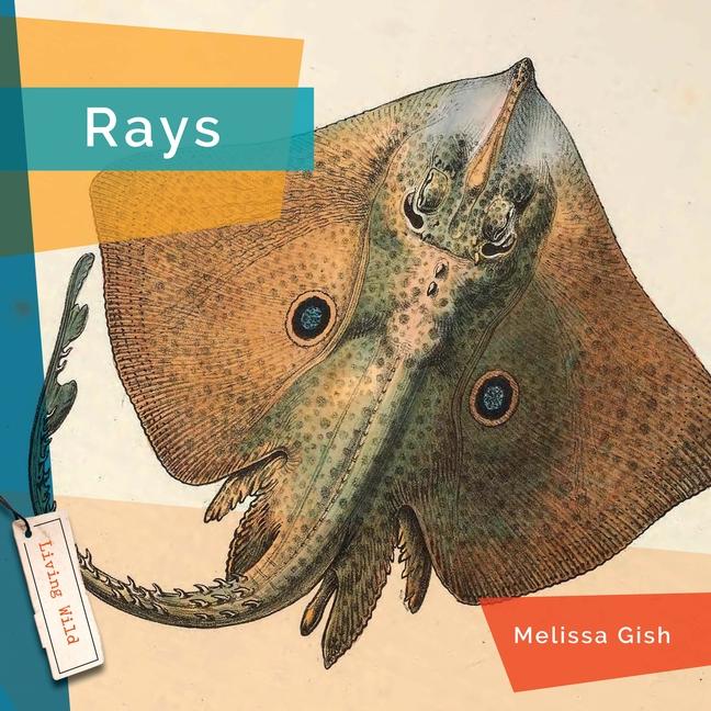 Knjiga Rays Gish