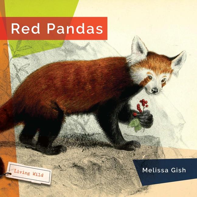 Carte Red Pandas 
