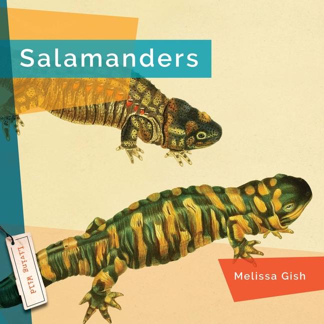 Knjiga Salamanders Gish