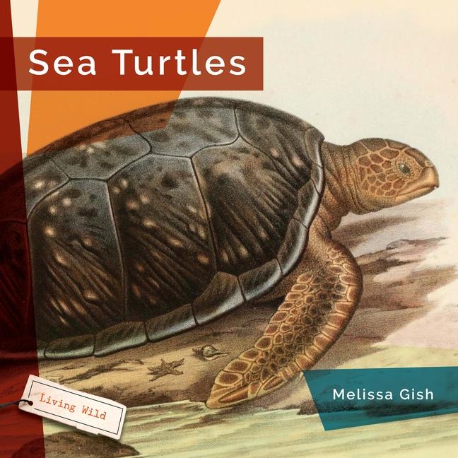 Knjiga Sea Turtles Gish