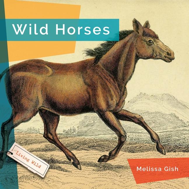 Knjiga Wild Horses Gish