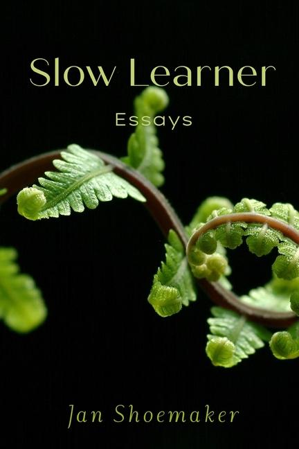 Knjiga Slow Learner Jan Shoemaker
