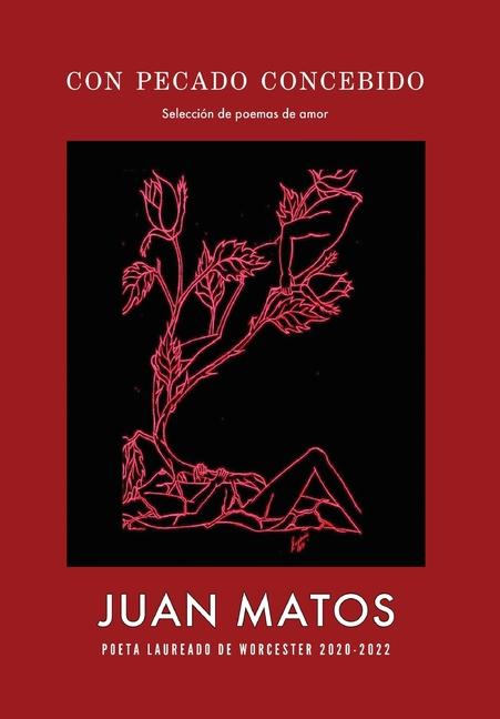 Buch Con pecado concebido Juan Matos