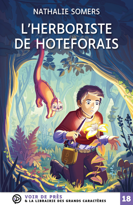 Kniha L'HERBORISTE DE HOTEFORAIS Somers