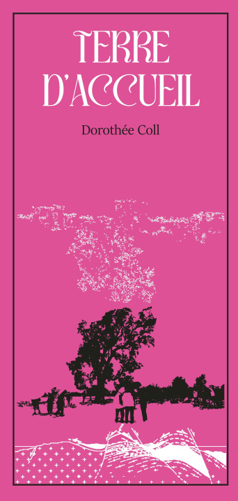 Libro Terre d'accueil Coll