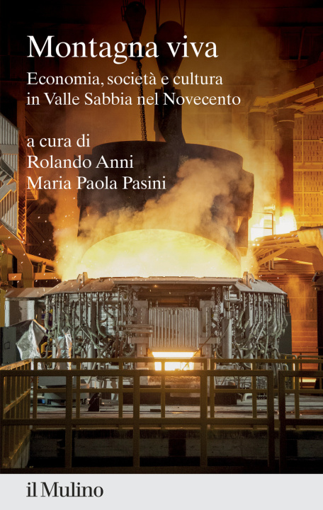 Kniha Montagna viva. Economia, società e cultura in Valle Sabbia nel Novecento 