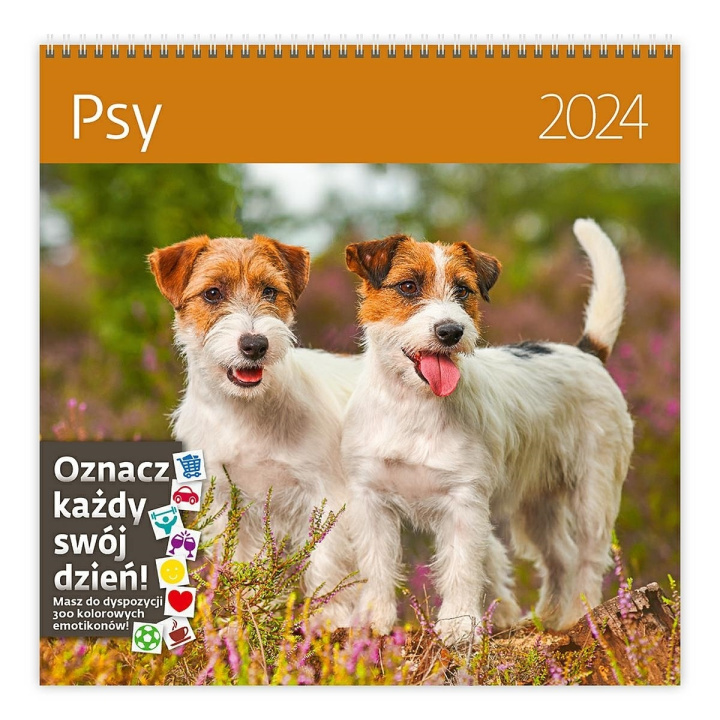 Kniha Kalendarz 2024 Psy z naklejkami ścienny 