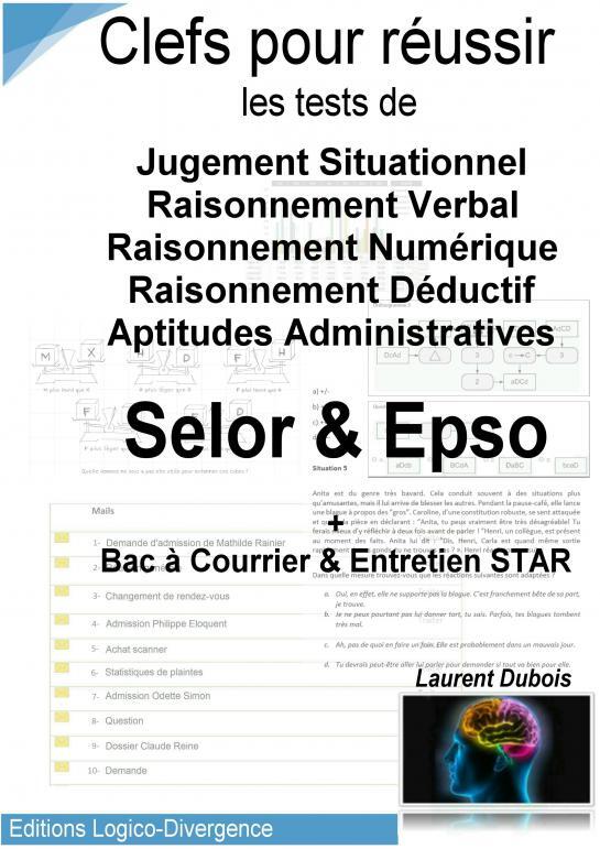 Kniha Clefs Réussite Tests Selor-Hudson Epso Dubois