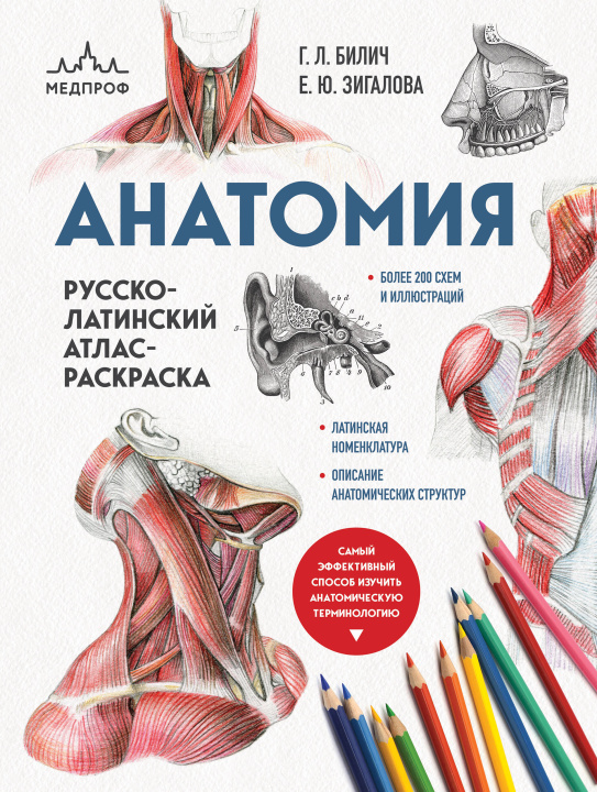 Kniha Анатомия: русско-латинский атлас-раскраска (новое оформление, новый формат) 