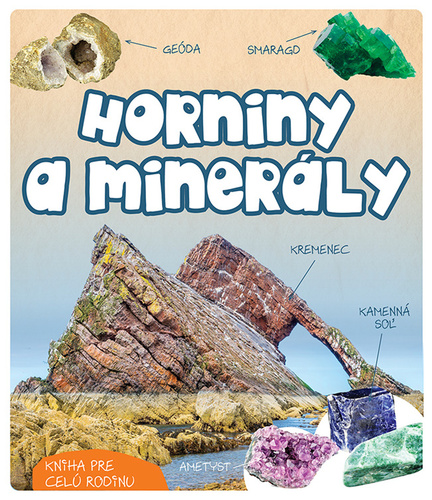 Könyv Horniny a minerály Radosław Żbikowski