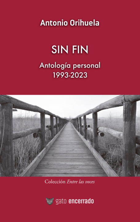 Książka Sin fin Orihuela