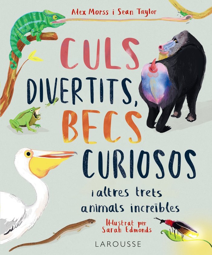 Livro CULS DIVERTITS, BECS CURIOSOS MORSS