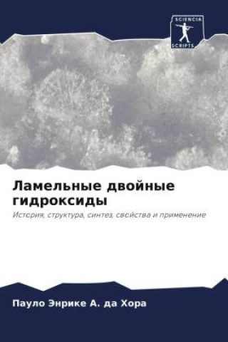 Buch Lamel'nye dwojnye gidroxidy Paulo Jenrike A. da Hora