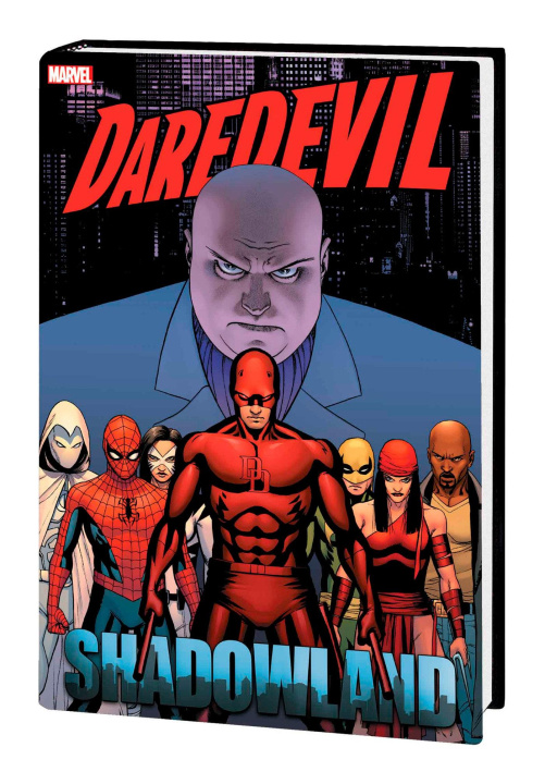 Knjiga DAREDEVIL SHADOWLAND OMNI CASSADAY COVER WELLS ZEB