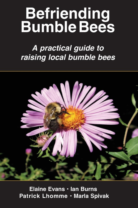 Book Befriending  Bumble Bees Ian Burns