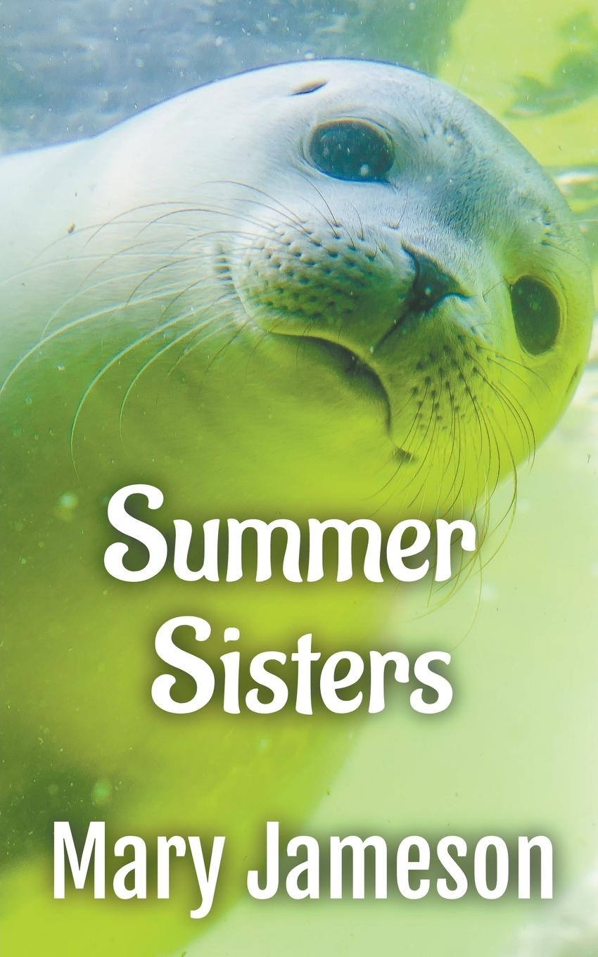 Buch Summer Sisters Mary Jameson