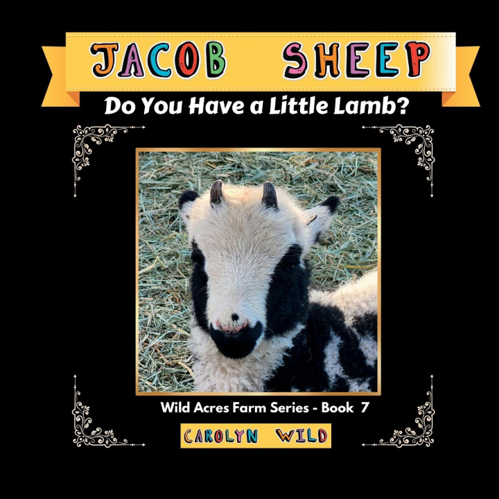 Boek Jacob Sheep Carolyn Wild