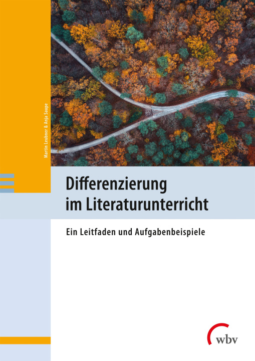 Kniha Differenzierung im Literaturunterricht Anja Saupe