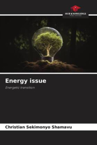 Knjiga Energy issue Christian SEKIMONYO SHAMAVU