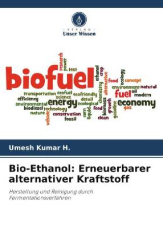 Kniha Bio-Ethanol: Erneuerbarer alternativer Kraftstoff 
