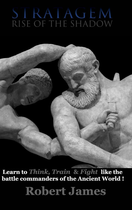Knjiga Stratagem Robert James