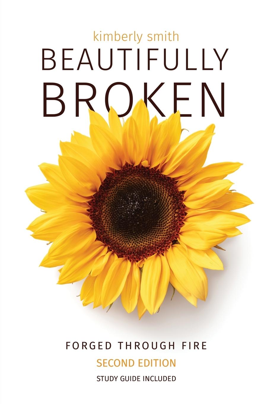 Knjiga Beautifully Broken Kimberly Smith