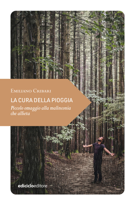 Knjiga cura della pioggia. Piccolo omaggio alla malinconia Emiliano Cribari
