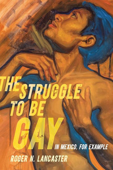 Boek Struggle to Be Gay-in Mexico, for Example Roger N. Lancaster