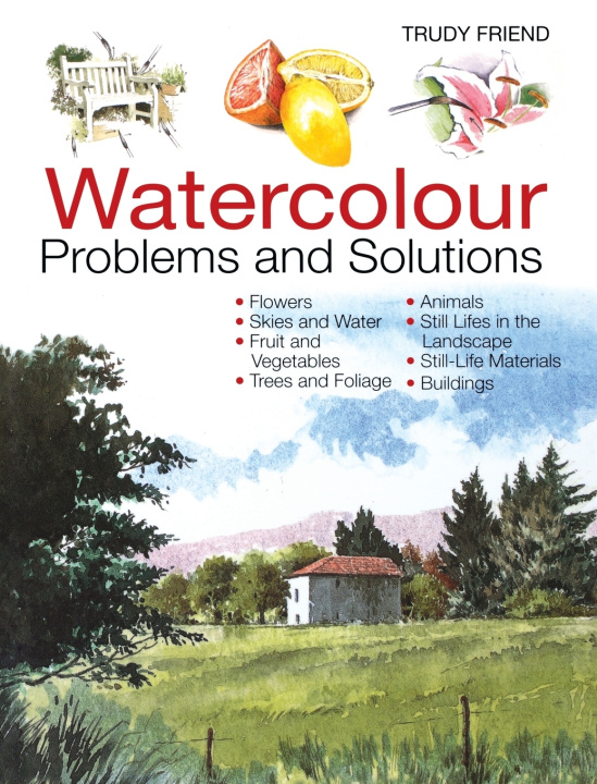 Knjiga Watercolour Problems and Solutions Trudy (Author) Friend