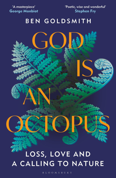 Buch God Is An Octopus Ben Goldsmith