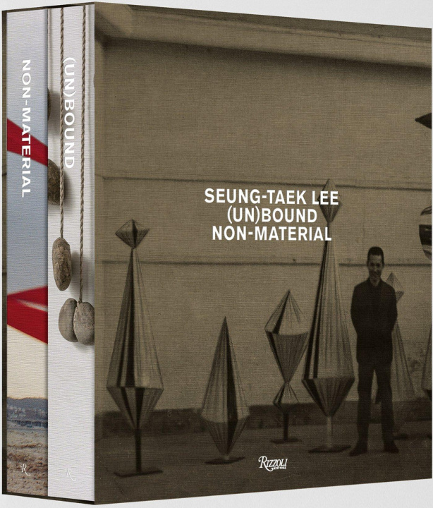Kniha Seung-taek Lee Gerardo Mosquera