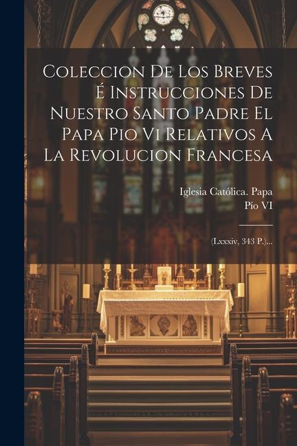 Libro Coleccion De Los Breves É Instrucciones De Nuestro Santo Padre El Papa Pio Vi Relativos A La Revolucion Francesa: (lxxxiv, 343 P.)... Pío VI (Papa)