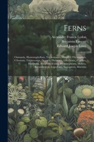 Könyv Ferns: Osmunda, Hymenophyllum, Trichomanes, Davallia, Thyrsopteris, Cibotium, Trichiocarpa, Deparia, Dicksonia, Gleichenia, C Benjamin Fawcett