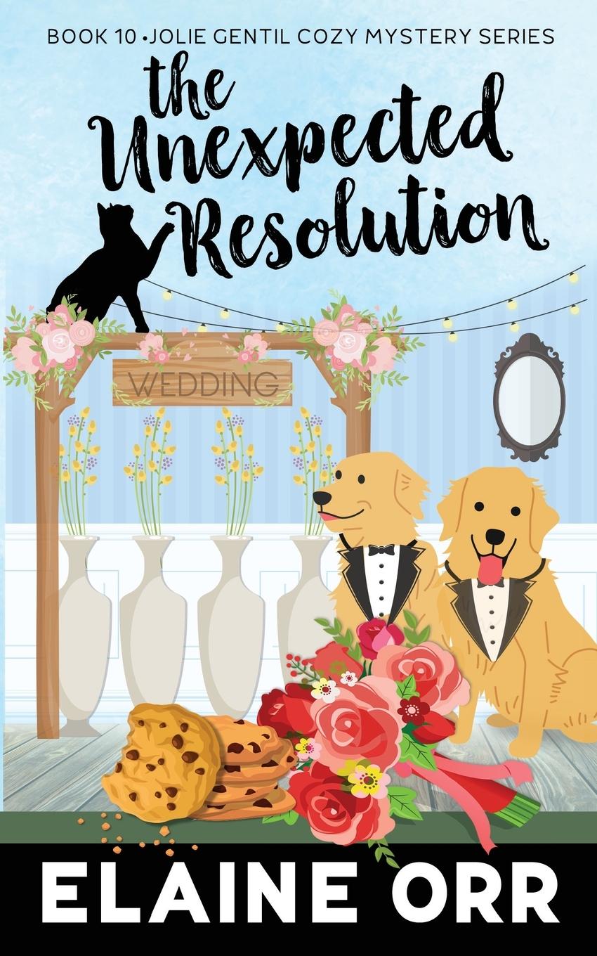 Knjiga The Unexpected Resolution Elaine L. Orr