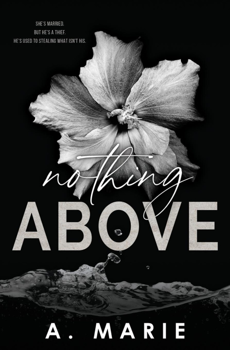 Boek Nothing Above A. Marie