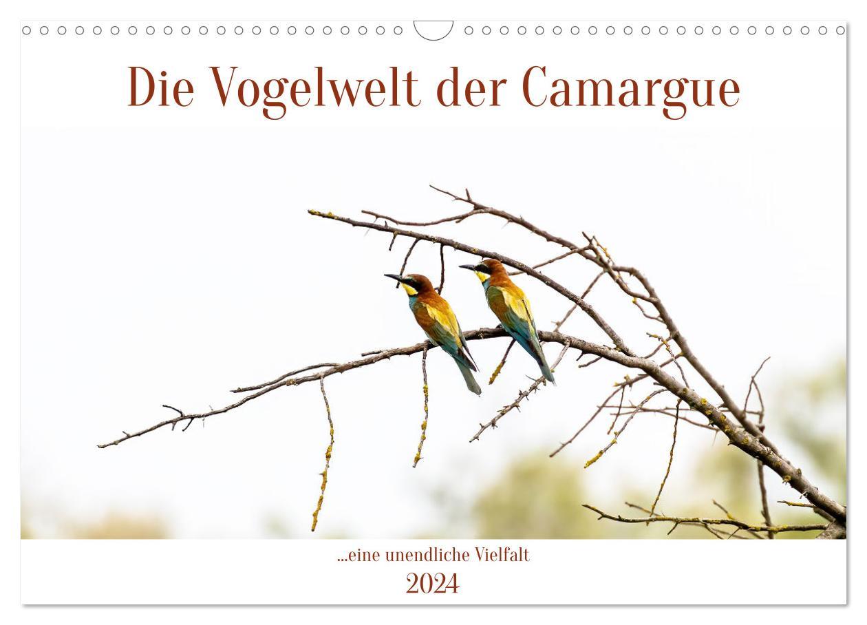 Calendar / Agendă Die Vogelwelt der Camargue (Wandkalender 2024 DIN A3 quer), CALVENDO Monatskalender 
