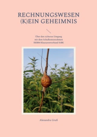 Книга Rechnungswesen (k)ein Geheimnis 