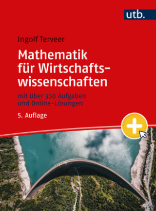 Kniha Mathematik für Wirtschaftswissenschaften 