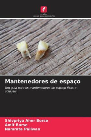 Книга Mantenedores de espaço Amit Borse