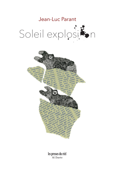 Knjiga Soleil explosion Parant